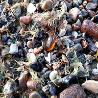 Strandevent „Kunst und Mee(h)r am Morgen“ -feste Termine Strandevent „Kunst und Mee(h)r am Morgen“ -feste Termine
