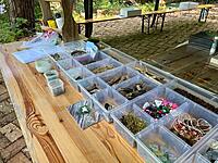 Workshop "Wie aus Strandgut Kunst wird" - SCHWERIN - feste Termine 2023 Workshop "Wie aus Strandgut Kunst wird" - SCHWERIN - feste Termine 2023